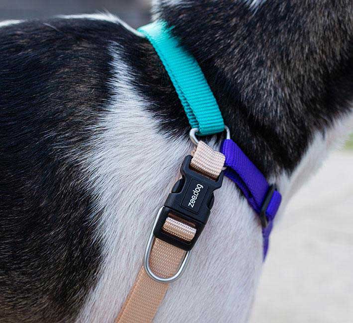 Arnés Anti Tirones "Soft-Walk" Boogie Zee.Dog