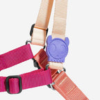 Arnés Anti Tirones "Soft-Walk" Cinnamon Zee.Dog
