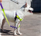 Arnés Anti Tirones "Soft-Walk" Lemonade Zee.Dog