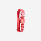 Collar para Perros Neopro "Bubblegum" Zee.Dog