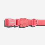 Collar para Perros Neopro "Bubblegum" Zee.Dog - S