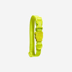 Collar para Perros Neopro "Lime" Zee.Dog - XS