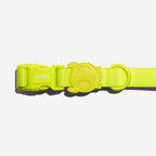 Collar para Perros Neopro "Lime" Zee.Dog