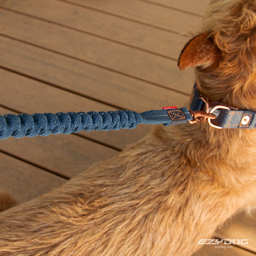 Correa Zero Shock™ 48" Absorción de Impacto EzyDog