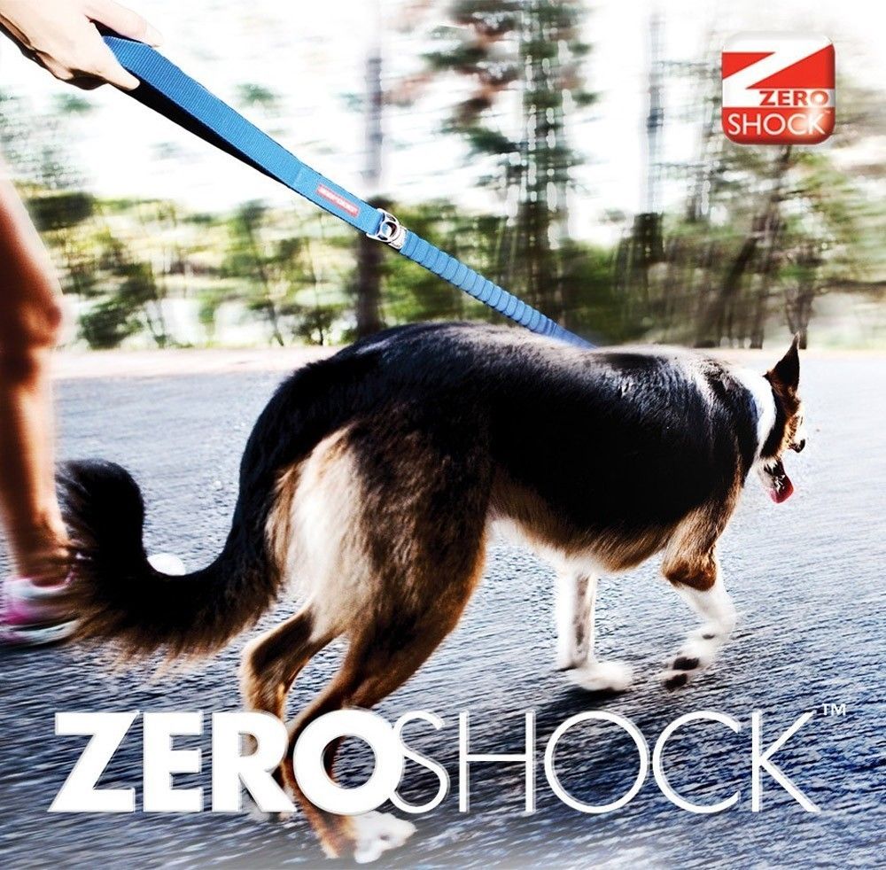 Correa Zero Shock™ 48" Absorción de Impacto EzyDog - Morado