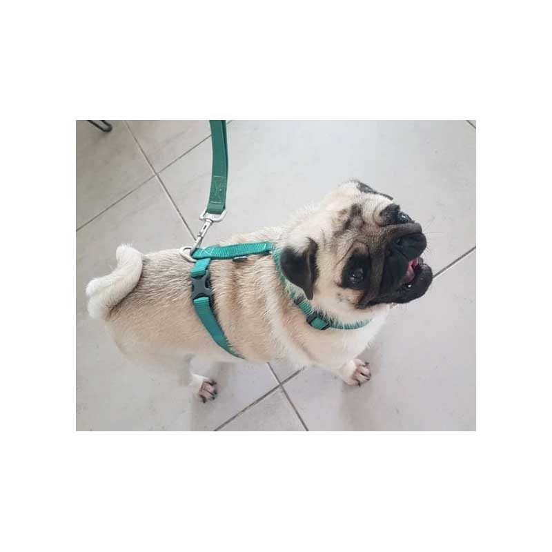 Arnés H Zeus para Perros - Rojo / XL