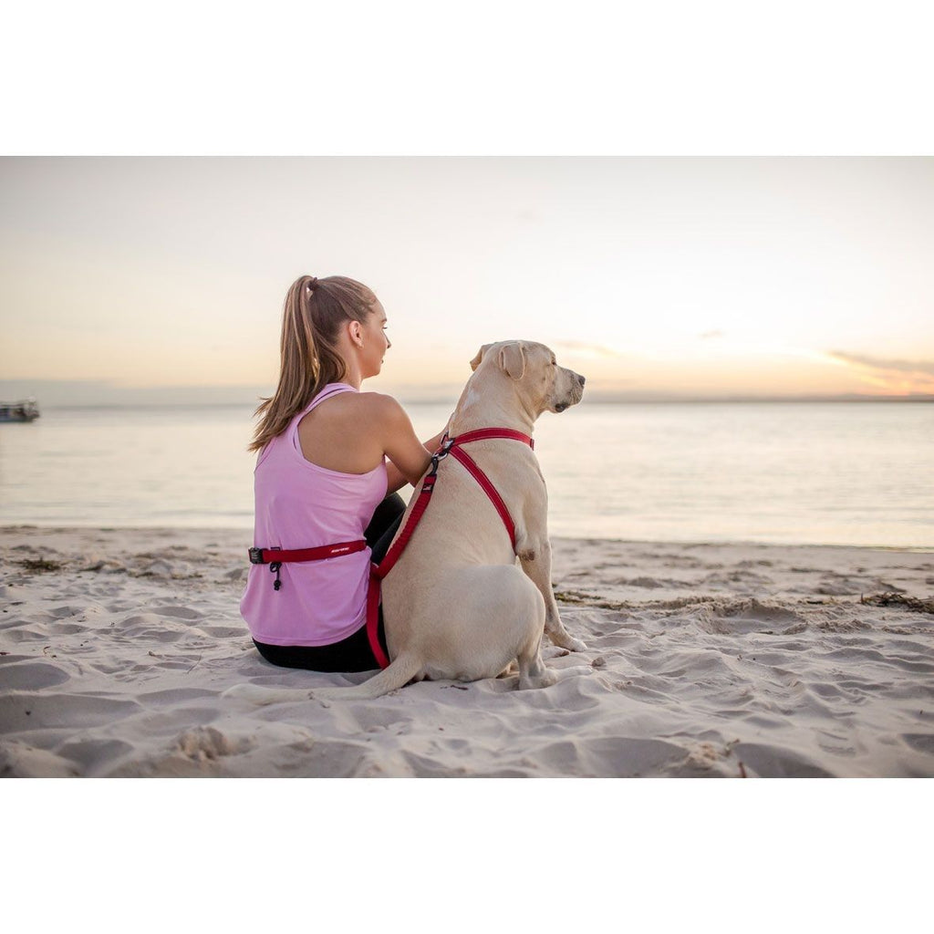 Correa Manos Libre Road Runner EzyDog - Gris