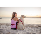 Correa Manos Libre Road Runner EzyDog - Gris