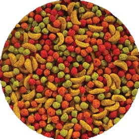 ZuPreem FruitBlend para Aves Medianas - 907 g