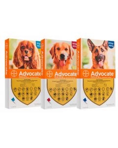 Pipeta Advocate para Perros