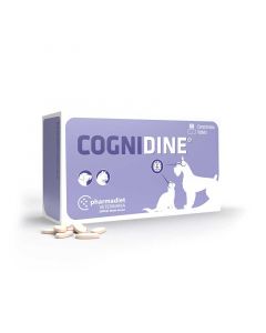 Cognidine