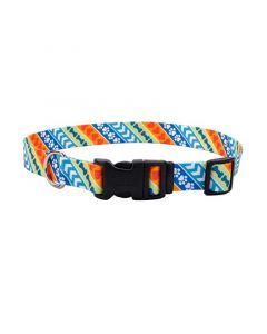 Coastal Style Collar Resolve para Perros