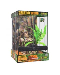 Kit Inicio Exo Terra para Gecko Crestado