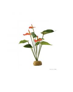 Deco Anthurium Bush Exo Terra