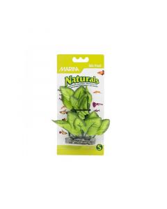 Planta de Seda Verde Marina Naturals