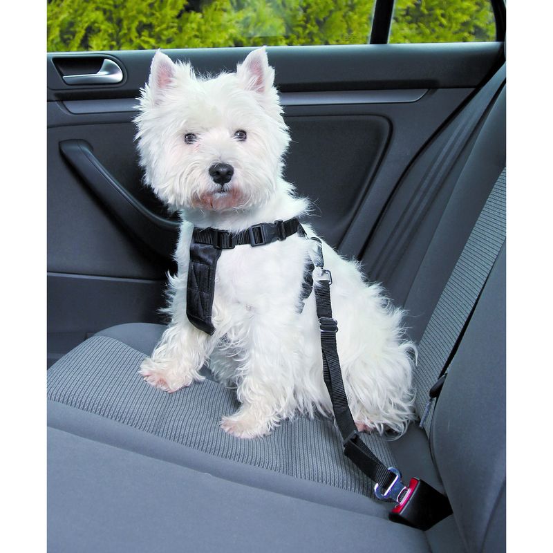 NEW Cinturon Seguridad de Coche para Perros, con Broche al Cinturon de  Seguridad