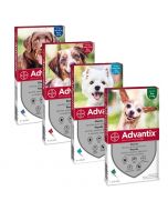 Antiparasitario Pipeta Advantix para Perros