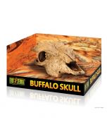 Escondite Fósil Buffalo Skull Exo Terra