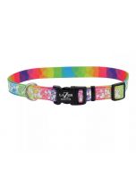 Coastal Lazer Brite Collar Rainbow Hearts para Perros