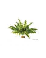 Deco Helecho Boston Fern Exo Terra