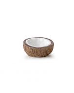 Plato para Agua Coconut Exo Terra