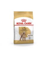 Royal Canin Poodle Adulto